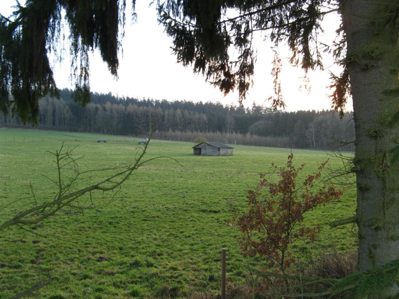 Ferienwohnung Prior Bad Emstal Exteriér fotografie